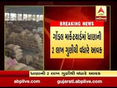 ગોંડલ: માર્કેટયાર્ડમાં ધાણાની 2 લાખ ગુણીથી વધારે આવક, જુઓ વીડિયો