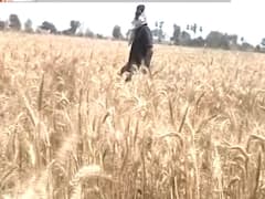 Film shoot gathers crowd in Bihar's Supaul