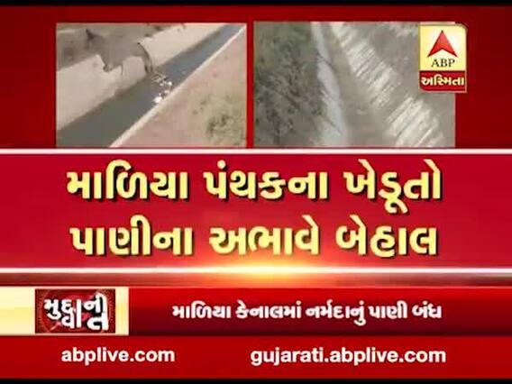 મુદ્દાની વાતઃ માળિયા કેનાલમાં નર્મદાનું પાણી બંધ, જુઓ અહેવાલ 
