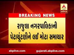 અમરેલીઃ રાજૂલા પાલિકાની પેટાચૂંટણી સામે હાઈકોર્ટે આપ્યો સ્ટે, જુઓ વીડિયો