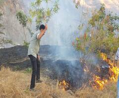 Sayaji Shinde Extinguished Fire | पर्यावरण प्रेमी सयाजी शिंदे वणवा विझवायला स्वत: उतरतात तेव्हा