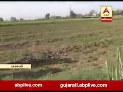 અરવલ્લી: મગફળીને માઠી અસર, દવાનો છંટકાવ કરવા છતા ખેડૂત પરેશાન, જુઓ વીડિયો