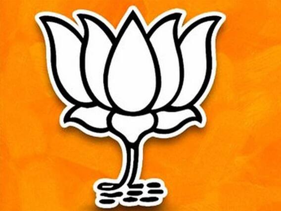 ભાજપના કયા ધારાસભ્યે કેહવું પડ્યું કે, હું કોંગ્રેસમાં નથી જવાનો ? જુઓ વીડિયો