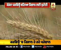 ਕਰਫਿਊ ਕਾਰਣ ਕਿਸਾਨ ਨੂੰ ਕਿਸ ਦੀ ਹੋ ਰਹੀ ਚਿੰਤਾ ?