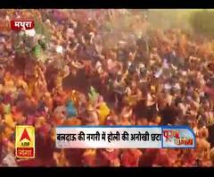 बलदाऊ की नगरी में होली की अनोखी छटा