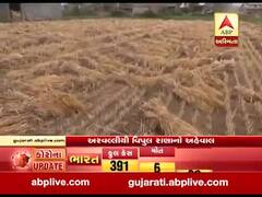 અરવલ્લીમાં કમોસમી વરસાદે ઘઉંના પાક પર ફેરવી દીધું પાણી, જુઓ વીડિયો