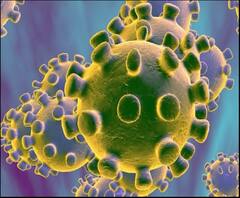 Coronavirus Updates | कोरोनामुळे कुठल्या राज्यात काय खबरदारी? 