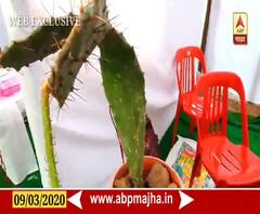 WEB EXCLUSIVE | निवडुंगापासून बायोमिथेन गॅसची निर्मिती, DIPEX 2020 प्रदर्शनात विद्यार्थ्याचा प्रयोग