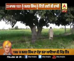 ਪਾਕਿਸਤਾਨ 'ਚ ਭਗਤ ਸਿੰਘ ਦੇ ਹੱਥੀਂ ਲਾਇਆ ਅੰਬ ਦਾ ਬੂਟਾ ਅਤੇ ਸਕੂਲ ਦੀ ਰਿਪੋਰਟ 