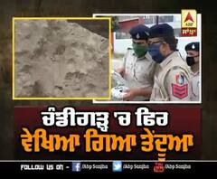 ਚੰਡੀਗੜ ਦੇ ਰਿਹਾਇਸ਼ੀ ਇਲਾਕੇ 'ਚ ਫਿਰ ਵਿਖਿਆ ਤੇਂਦੂਆ