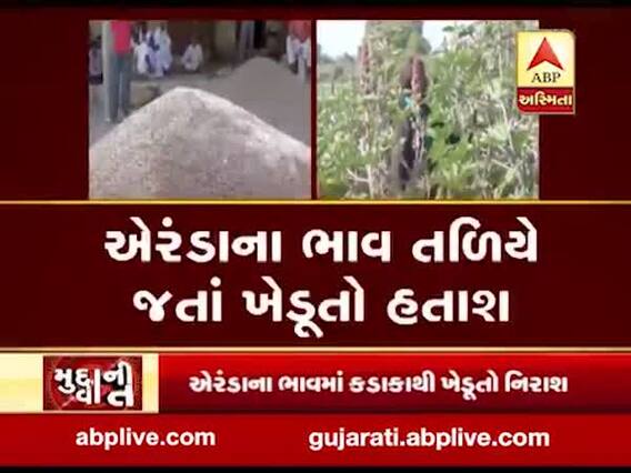 મુદ્દાની વાતઃ પાટણમાં એરન્ડાના ભાવમાં કડાકો, જુઓ અહેવાલ 