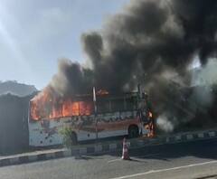 Shivshahi Bus आगीत जळून खाक, पुणे-नाशिक महामार्गावरील घटना