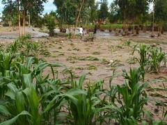 મુદ્દાની વાતઃ સિરામિક ફેક્ટરીઓના પાપે ગાંધીનગરના ખેડૂતો બરબાદ, જુઓ અહેવાલ 