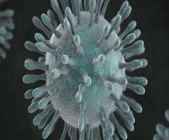 Coronavirus Effect | दोन दिवसात एसटी महामंडळाचं तब्बल 22 लाखांचं नुकसान