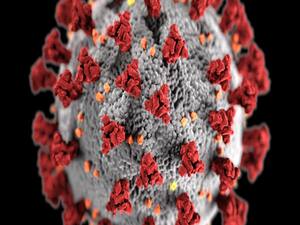 Returning migrants pose huge challenge to govts | Namaste Bharat Part 2(31.03.2020)