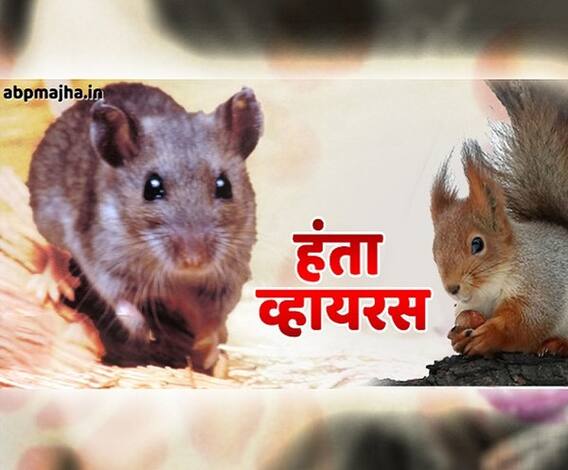 Hantavirus | कोरोनाने सावरलेल्या चीनवर 'हंता' व्हायरसचे संकट; एकाचा मृ्त्यू