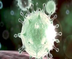 #CoronaVirus | नाशिकमध्ये कोरोना व्हायरसचा संशयित रुग्ण, जिल्हा रुग्णालयात उपचार सुरू