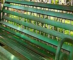 Special Report | पुण्यात 7200 बाकं बसवण्यात आली? नवी बाकडी आहेत कुठे? अधिकाऱ्यांनाही ठाऊक नाही!