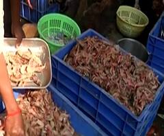 Thane Fish Market | सरकारकडून मासे विक्रीला परवानगी, लॉकडाऊनमुळे अडकलेला माल बंदरात, किंमती वाढल्या तरी खरेदी जोरात!
