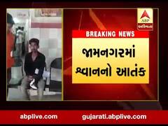 જામનગરમાં શ્વાનનો આતંક, 20 લોકોને કરડતા લોકોમાં ભય