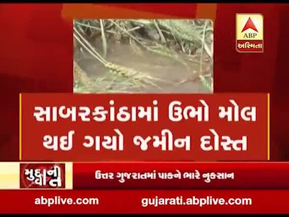 મુદ્દાની વાતઃ સાબરકાંઠામાં ઊભો મોલ થઈ ગયો જમીનદોસ્ત, જુઓ અહેવાલ