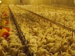 Coronavirus outbreak: Know the truth behind viral myths