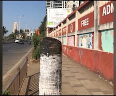 Tree cutting in Worli | आदित्य ठाकरेंच्या वरळीत झाडांची कत्तल? मनसेची बीएमसी आयुक्तांकडे तक्रार