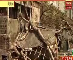 ট্যাংরায় গাছ পড়ে আহত শিশু, ক্ষতিগ্রস্ত তিনটি ঝুপড়ি 