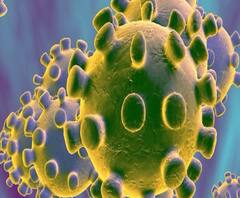 पुण्यात तीन नवे, तर साताऱ्यात एक नवा कोरोनाबाधित रुग्ण, राज्यात कोरोनाग्रस्ताची संख्या 101वर पोहोचली