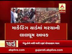 મુદ્દાની વાતઃ માર્કેટિંગ યાર્ડમાં મરચાની ધૂમ આવક, જુઓ અહેવાલ 