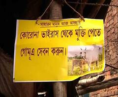 দেখুন, করোনা রুখতে খাস কলকাতায় গরু পুজো বিজেপির!