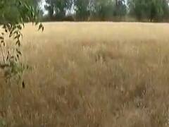 ગુરુવારે રાત્રે અમદાવાદ સહિત ગુજરાતમાં અનેક જગ્યાએ પડ્યો વરસાદ, ઊભા પાકને નુકસાન, જુઓ વીડિયો