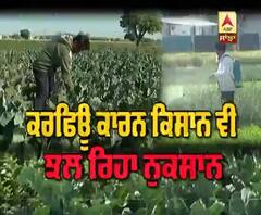 ਕਰਫਿਊ ਨੇ ਤੋੜਿਆ ਅੰਨਦਾਤਾ ਦਾ ਲੱਕ, ਨਹੀਂ ਵਿਕ ਨਹੀਂ ਸਬਜ਼ੀਆਂ