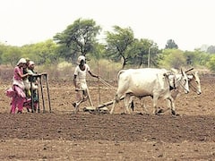 ખેડૂત સહાયની અરજીના ચોંકાવનારા આંકડા આવ્યા સામે, જુઓ વીડિયો