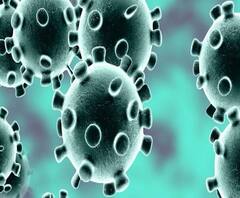 #CoronaVirus Alert | कोरोनापासून सावधान राहण्यासाठी सातारा जिल्हाधिकाऱ्यांकडून एसओपी जारी