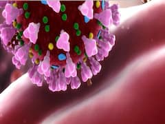 Nizamuddin markaz: 9 test positive in Andamans 5 days ago