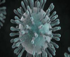 Coronavirus Death | मुंबईत कोरोनाचा चौथा बळी, पुण्यात तीन तर साताऱ्यात एक नवा पॉझिटिव्ह रुग्ण