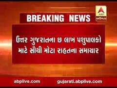 દૂધસાગર ડેરીએ હોળી પહેલા પશુપાલકોને આપી મોટી ભેટ, જુઓ વીડિયો