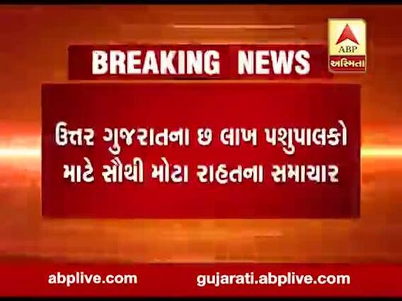 દૂધસાગર ડેરીએ હોળી પહેલા પશુપાલકોને આપી મોટી ભેટ, જુઓ વીડિયો