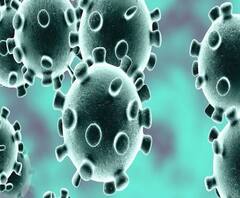 Coronavirus | कोरोना व्हायरसमुळे रत्नागिरीतील शिमगोत्सवातील पालखीसह धार्मिक उत्सवांवर बंदी | ABP Majha