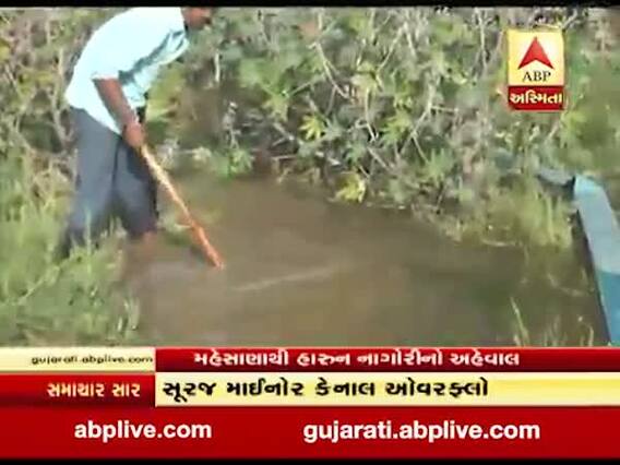 મહેસાણાઃ સૂરજ માઈનોર કેનાલ થઈ ઓવરફ્લો, જુઓ વીડિયો