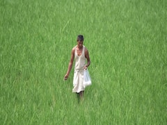 Lockdown में किसानों के कर्ज अदा करने की तारीख 31 मई की गई