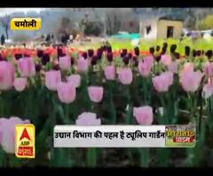 आम लोगों के लिए खुला ट्यूलिप गार्डन