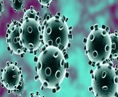 করোনায় কাঁপছে বিশ্ব, ইরানে একদিনে ৭৫ মৃত 