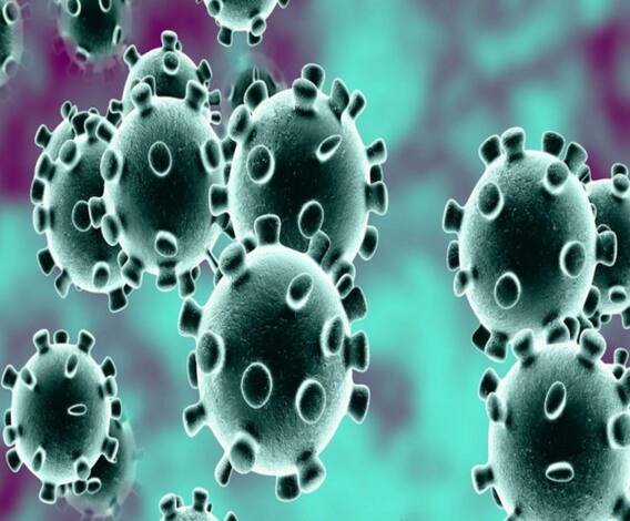 করোনায় কাঁপছে বিশ্ব, ইরানে একদিনে ৭৫ মৃত 