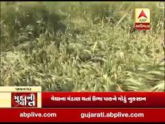 મુદ્દાની વાતઃ જામનગરમાં પાક થયો જમીનદોસ્ત, જુઓ અહેવાલ 