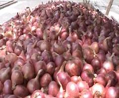 Lasalgaon Onion Auction stop | लासलगाव बाजारात कांद्याचे लिलाव बंद 