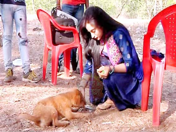 Celebrities urge people to take care of street dogs & other animals in Covid-19 lockdown 