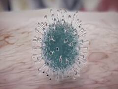 Haryana ने Coronavirus को महामारी घोषित किया, ऐसा करने वाला देश का पहला राज्य