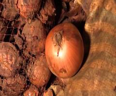 #CoronaEffect | कोरोनामुळे नाशिक कृषी उत्पन्न बाजार समितीत कांदा आवक घटली